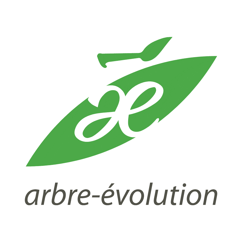 logo ae